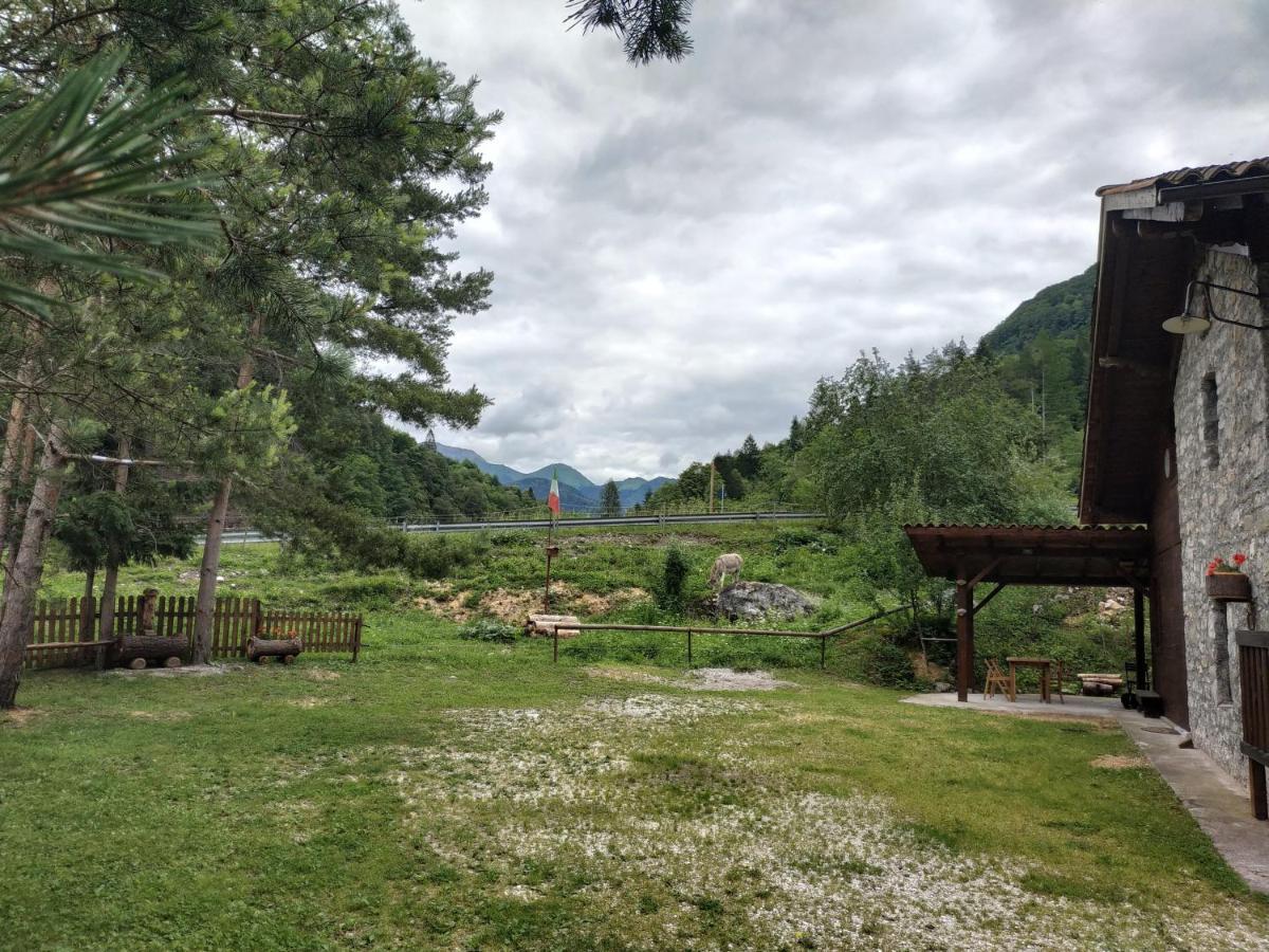 B&B L'Asinello Rampante Arta Terme Kültér fotó