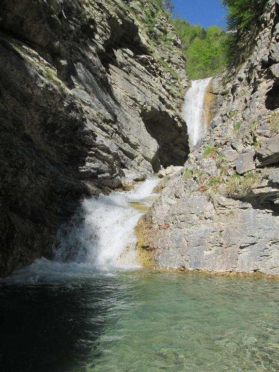 B&B L'Asinello Rampante Arta Terme Kültér fotó