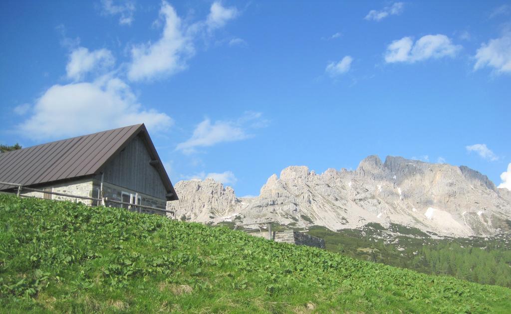 B&B L'Asinello Rampante Arta Terme Kültér fotó