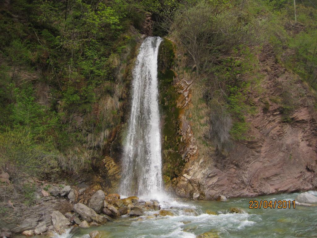 B&B L'Asinello Rampante Arta Terme Kültér fotó