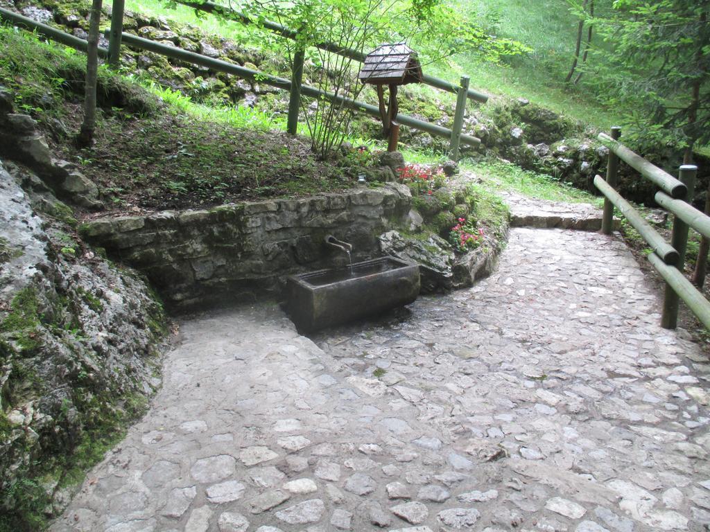 B&B L'Asinello Rampante Arta Terme Kültér fotó