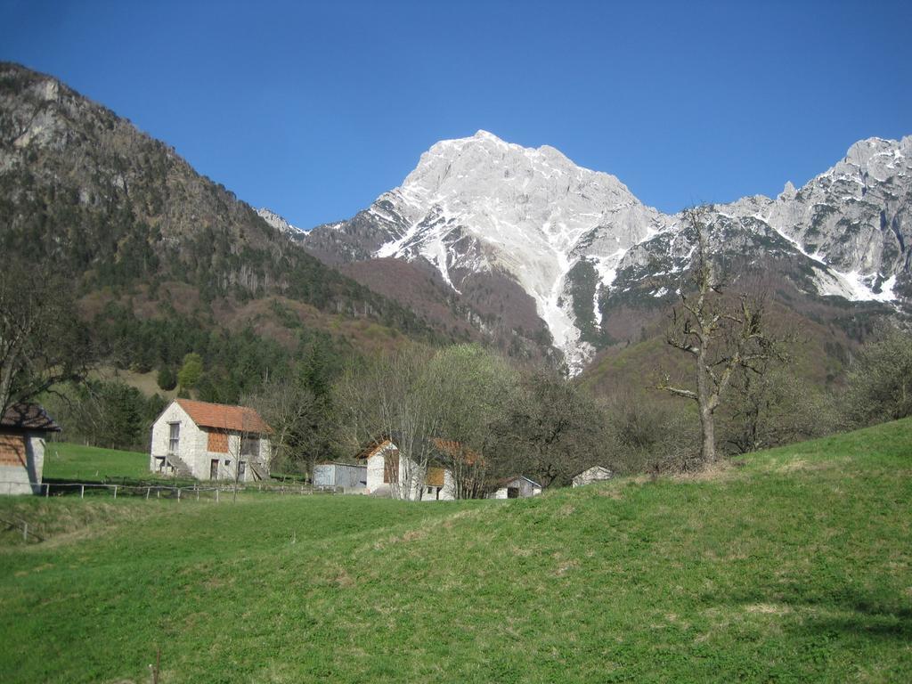 B&B L'Asinello Rampante Arta Terme Kültér fotó