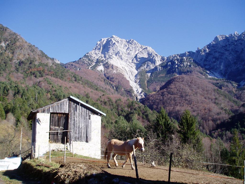B&B L'Asinello Rampante Arta Terme Kültér fotó